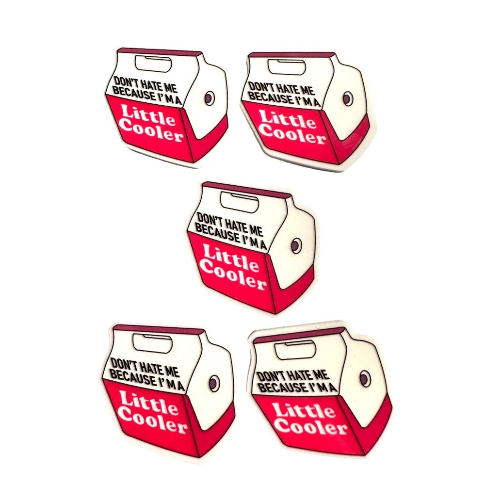 10 pc Acrylic Flat Back Charm For Badge Reels, Earrings Jewelry Charms DIY Craft